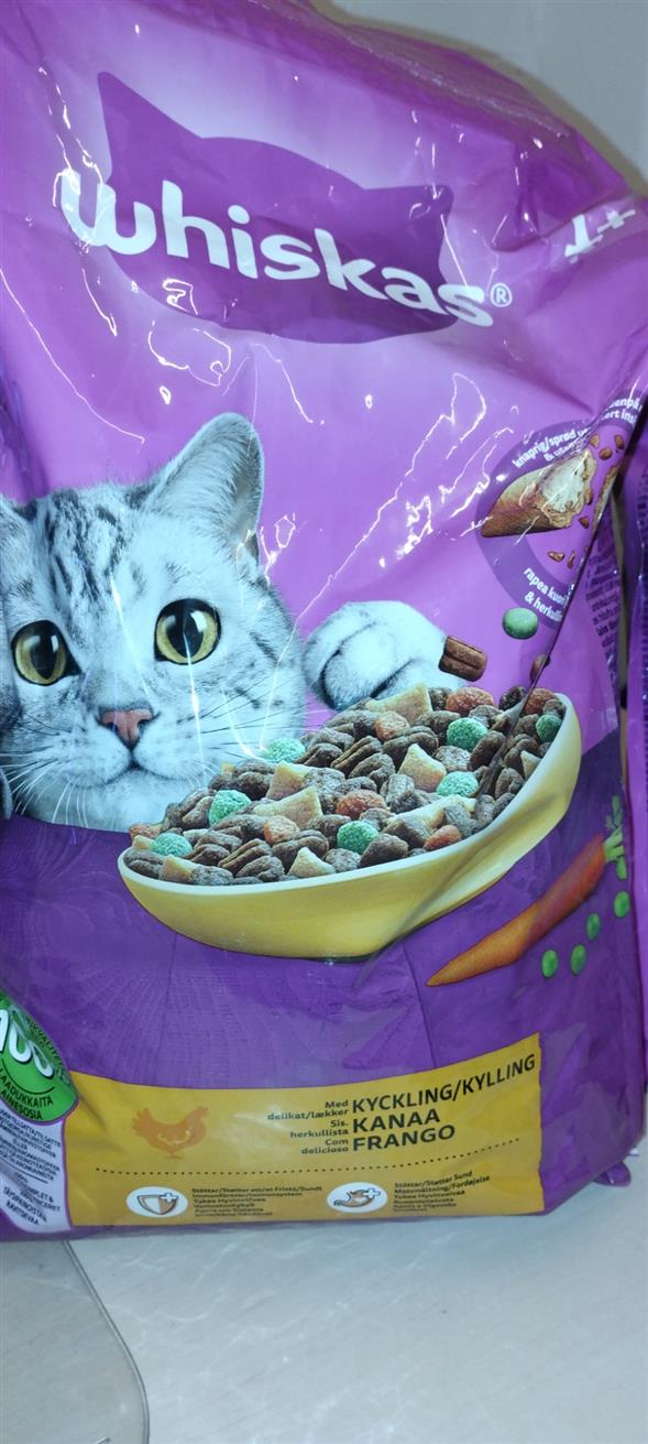 Kattemad